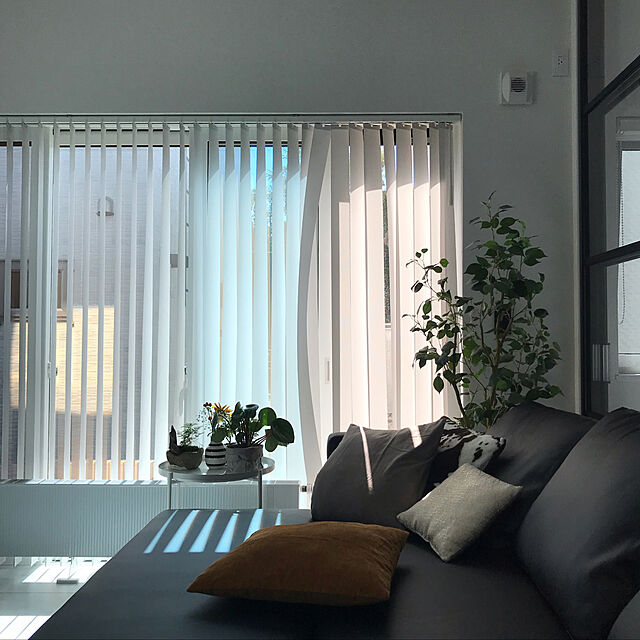 aluminiumのニトリ-ソファベッド(Nシールド ノアーク BK) の家具・インテリア写真