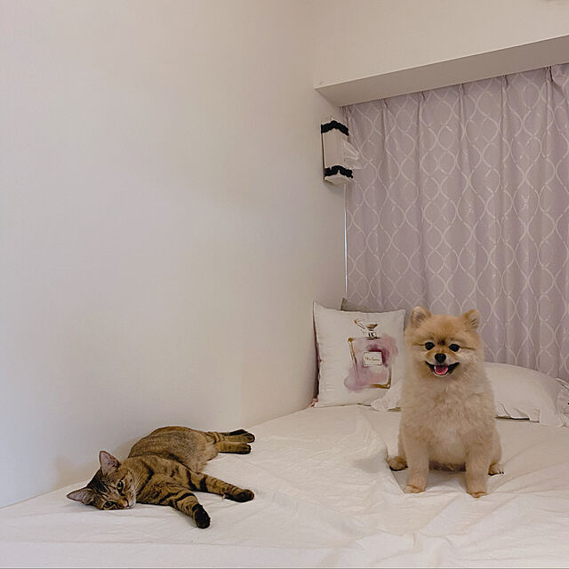 maruのニトリ-裏地付き遮光2級・遮熱カーテン(パターン レッドパープル 100X190X2) の家具・インテリア写真