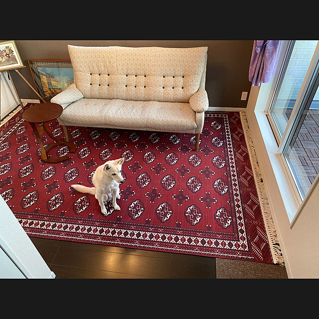 thの萩原-アンティーク絨毯風プリントラグ トルクメン 230×330 レッドの家具・インテリア写真
