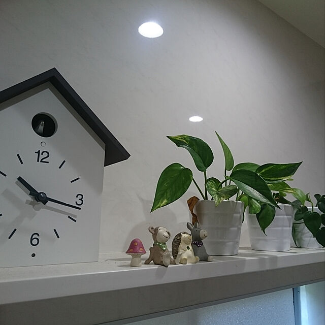 nori.kのMuji-無印良品 鳩時計・大 掛置時計・ホワイト 幅255×奥行125×高さ267mm 15832606の家具・インテリア写真