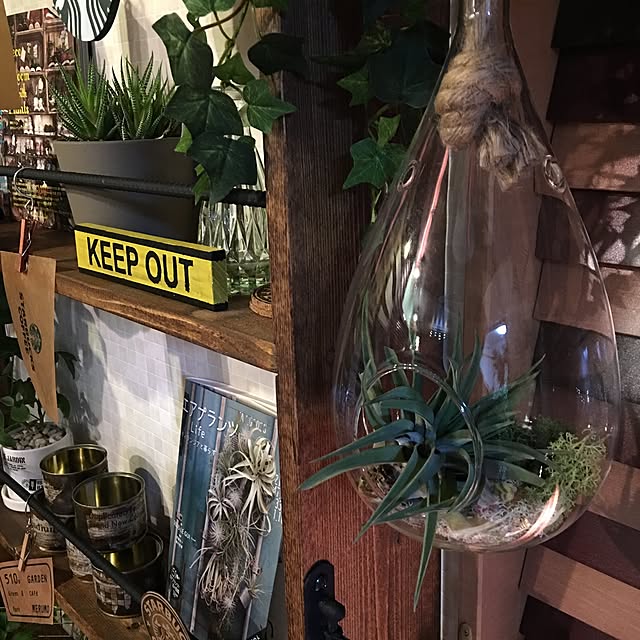 ANNAのビー・エヌ・エヌ新社-Deco Room with Plants -植物とつくる、自分らしいインテリアスタイルの家具・インテリア写真
