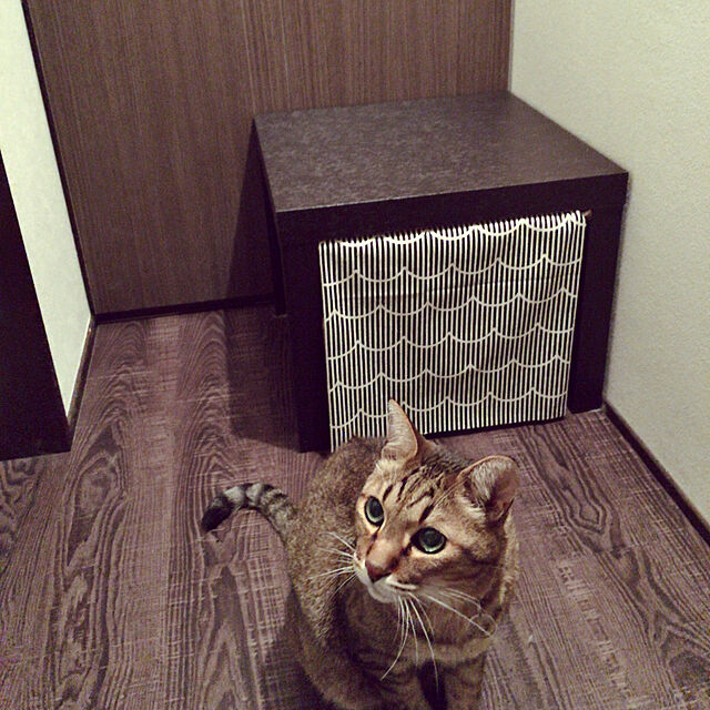 tokotokoの-ユニ・チャーム デオトイレ 本体セット子猫から体重5kgの成猫用 《猫用のシステムトイレ》【猫 トイレ容器】の家具・インテリア写真