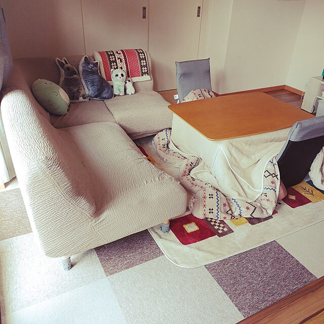 erunaのニトリ-コンパクト収納座イス(Nライン) の家具・インテリア写真