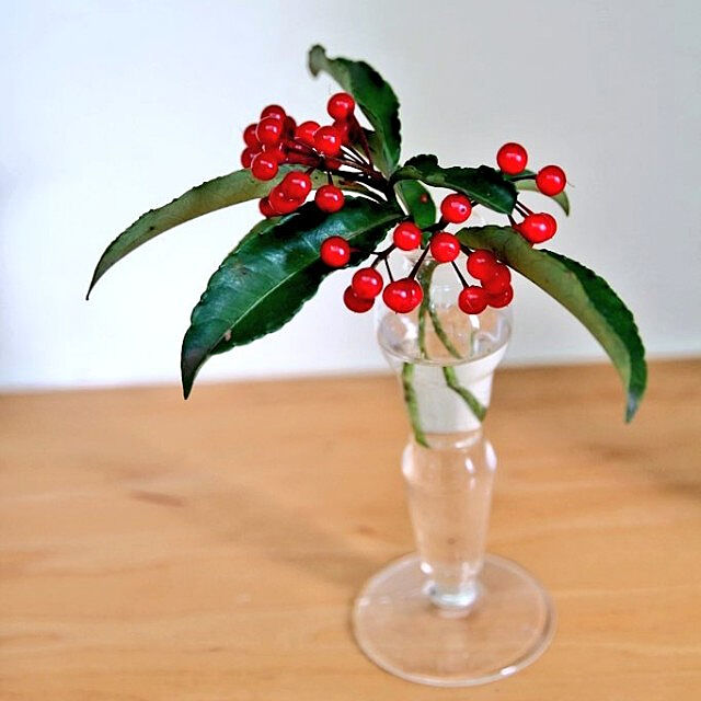 Raysaの-デザイナーズベースMEDIFLA/ELEGANT（エレガント）優美なイメージ/KMF-004【01】【取寄】 花器、リース 花器・花瓶 ガラス花器の家具・インテリア写真