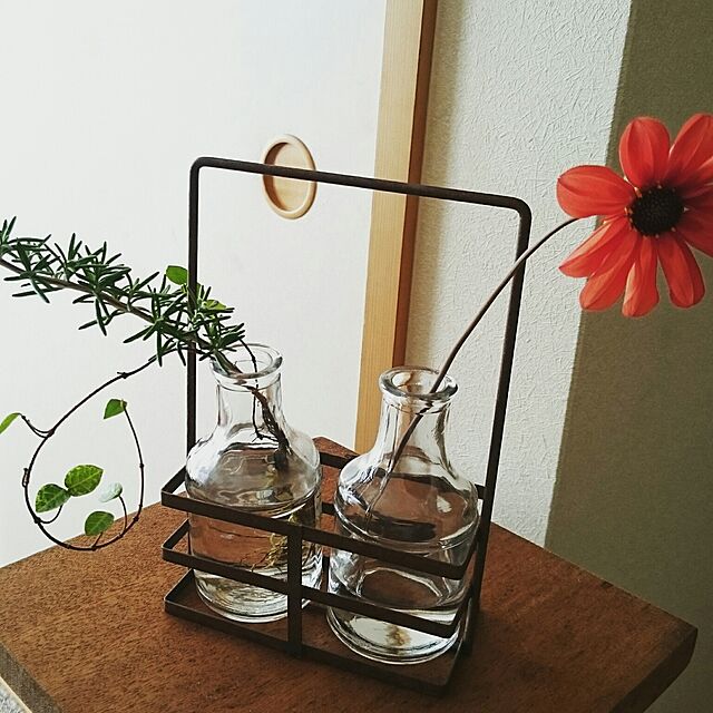 lucirのスパイス-SPICE OF LIFE(スパイス) 花瓶 ガラス ボトル フラワーベース アイアンホルダー付き ブリュージュ ダブル 15.5×23×7.5cm HELZ2070の家具・インテリア写真
