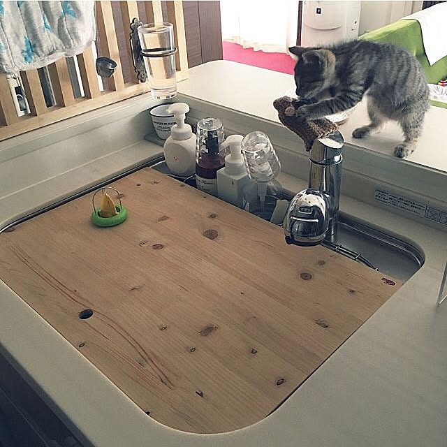 mikomaruの-VISIONS オリジナル 猫用 食器用洗剤 キッチンバブル [500ml] 子猫用／成猫用／高齢猫（シニア猫）用 天然成分100% 無添加国産 cat visionsの家具・インテリア写真