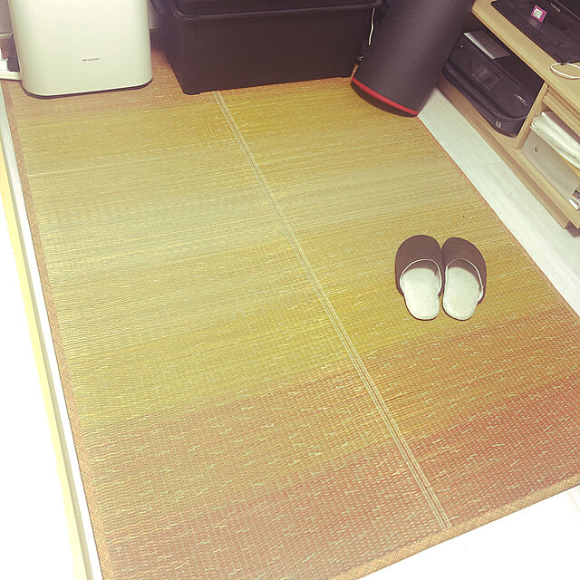 koseiのオカ-Ag+（銀イオン）安心スリッパ ソフティ2 前詰まりタイプの家具・インテリア写真