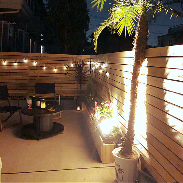 aomameの-タカショー ひかりノベーション 木のひかり 基本セット LGL-LH01P ガーデンライト 庭の照明 4975149756964（ 明るい ガーデンライト 樹木 照らす 庭 照明 ライトアップ おしゃれ 屋外照明 間接照明 ）の家具・インテリア写真