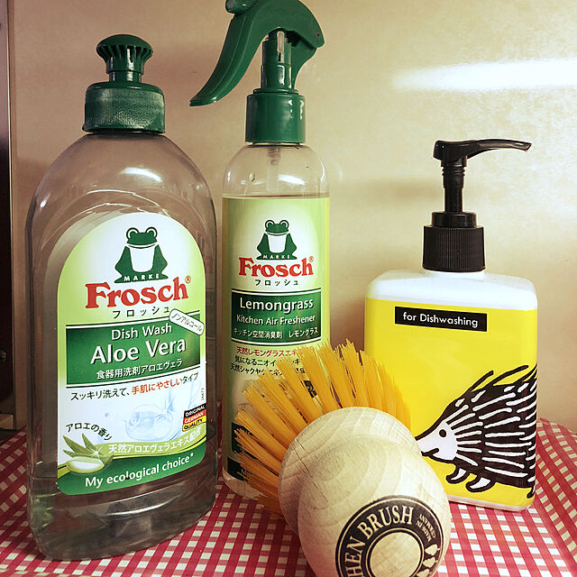 ayaの-フロッシュ食器用洗剤Ｎ アロエヴェラの家具・インテリア写真
