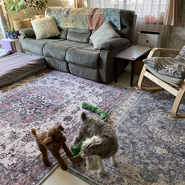alchoの萩原-アンティーク絨毯風プリントラグ カメオ 190×190 ピンクの家具・インテリア写真