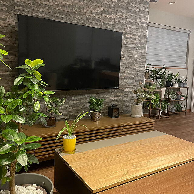ikuzakのニトリ-LEDライト(暖炉 n2BF) の家具・インテリア写真