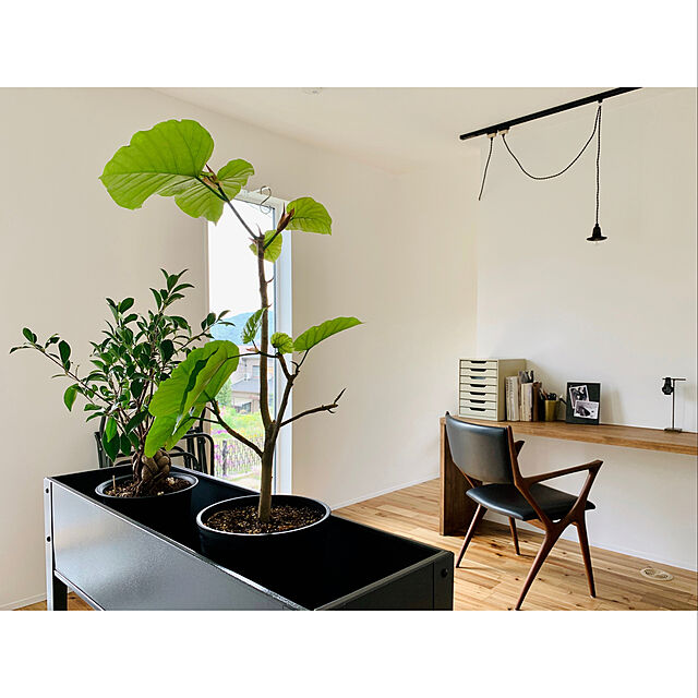 Hito-612の-【S】Raised Garden Bed / Sサイズ レイズドガーデンベッド プランター カバー ハーブ 栽培 植物 鉢 観葉植物の家具・インテリア写真