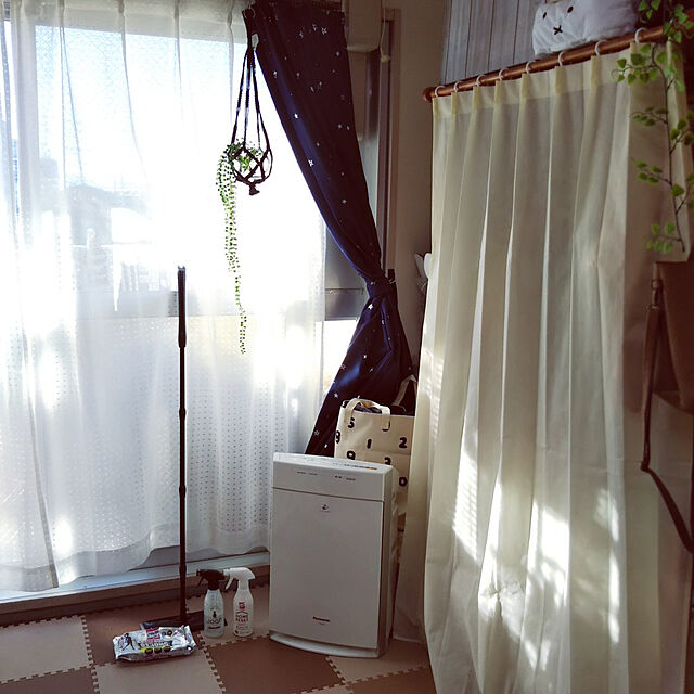 Yurieの-花王 クイックルワイパー 立体吸着ウエットシート ストロング 12枚入の家具・インテリア写真