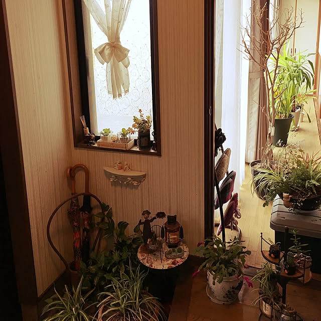 写真付きレビュー ブリキ缶 ブリキプランター 5種セット ナチュラルシルバーsv 室内 プランター ポット多肉植物 寄せ植え Tin Tin おしゃれ 植木鉢 鉢 オシャレ ブリキ シャビー 小さい植木鉢 小さい鉢 収納 多肉 開店セール1212 Rcp の通販商品 口コミ情報