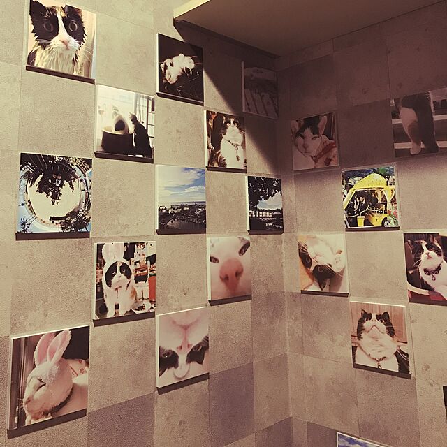 yukakochinの富士フイルム-富士フイルム(FUJIFILM) 『壁アルバム』用フォトパネル shacolla(シャコラ) 127 マシカク 5パックの家具・インテリア写真