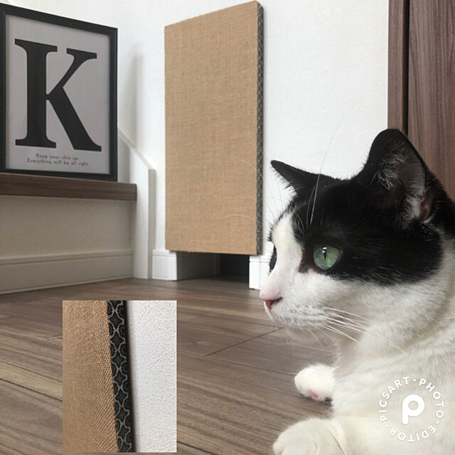 neuruの-吸着壁に貼れる猫のつめとぎ 麻 KV-88 貼るだけ 壁 爪とぎ 猫 ペット 麻 簡単 日本製 サンコーの家具・インテリア写真