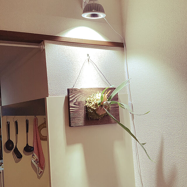 eebbの-NEO　TSUKUYOMI　ネオツクヨミ　LED　20W　E26口金　植物育成用ライト　植物用ライト　観葉植物【HLS_DU】　関東当日便の家具・インテリア写真