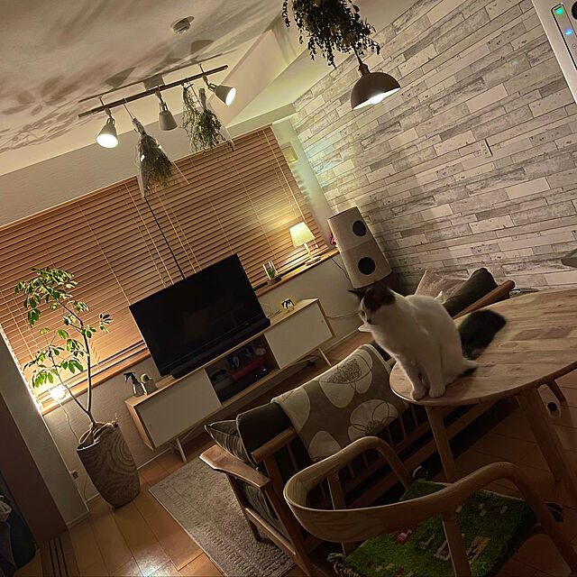 norinoriのイケア-SVENARUM スヴェナルム テレビ台 引き戸付きの家具・インテリア写真