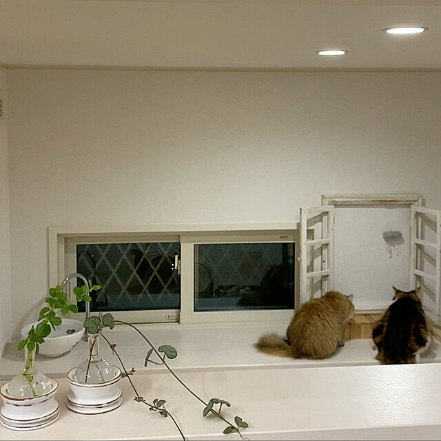 furitamaの伊吹物産-ヒュッテ カップ付きベース ホワイト HUTTE CUP VASE WHITEの家具・インテリア写真