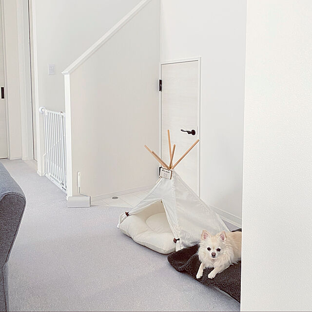 Yumehinaの-ティピーテント 猫 ネコ 犬 イヌ ペット ベッド ボリュームクッション付 テント 小型犬 猫用 かわいい おしゃれ インスタ映え 簡単組み立て式 ペット用の家具・インテリア写真