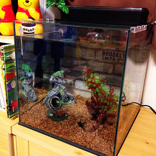 写真付きレビュー 水作 ブリッジフリー S サイズの通販商品 口コミ情報 Roomclipショッピング