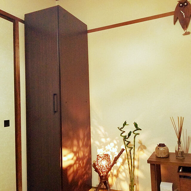 satokichiのニトリ-ワードローブ(アーデル40WR-L MBR) の家具・インテリア写真