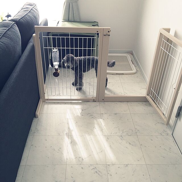 moppoの-[ システムゲート BF 80 メッシュ ] 犬用 ペットゲート 室内用 木製 スチール ドア付き 置くだけ 室内用 自立型 間仕切り 日本製 kiinus キーヌス ペット家具の家具・インテリア写真