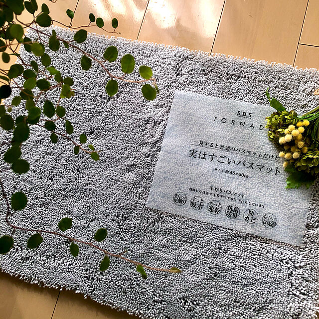 miyakoの-草花の苗/ワイヤープランツ3号ポット2株セットの家具・インテリア写真
