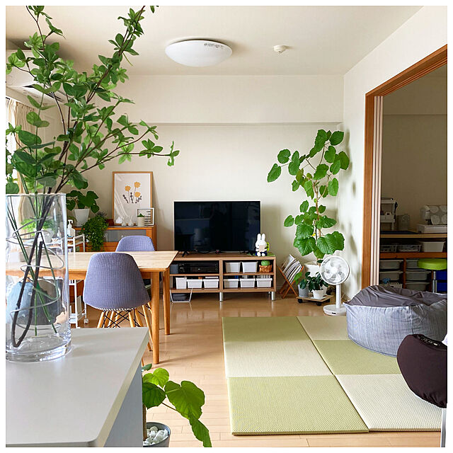 ksfioriのイケア-SMYCKA スミッカ 造花 スプレーの家具・インテリア写真