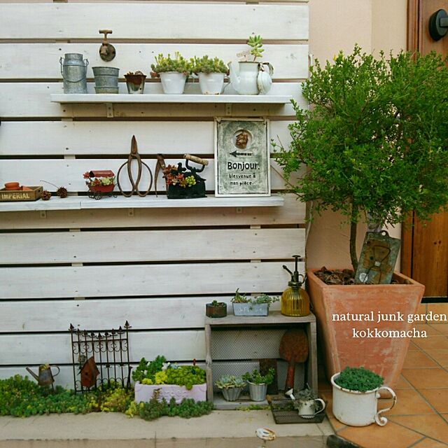 kokkomachaのfairy'sgarden-多肉植物　子持ちレンゲ　ドットポットの家具・インテリア写真