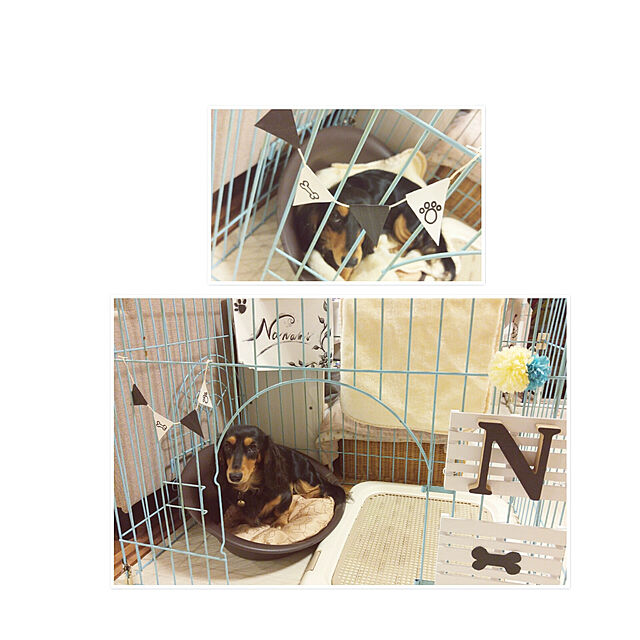 773のリッチェル-リッチェル ペットベッド オーバル M ブラウン ■ ベッド マット 小型犬用 猫用 カドラー ベッド 同梱不可の家具・インテリア写真