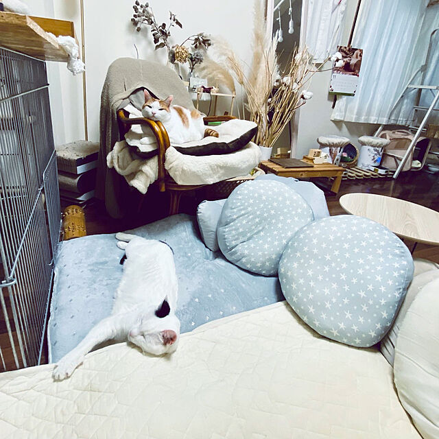 YUKAの-【デコホーム商品】レストクッション(ソフティ GY) の家具・インテリア写真