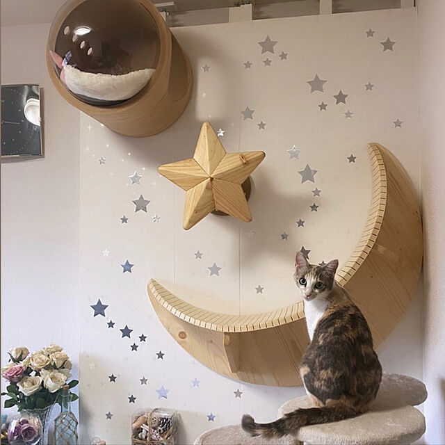 akarinの-猫 キャットステップ キャットウォーク 壁付け 壁掛け キャットステップ MYZOO マイズー Twinkle Star キャットステップ 爪とぎの家具・インテリア写真