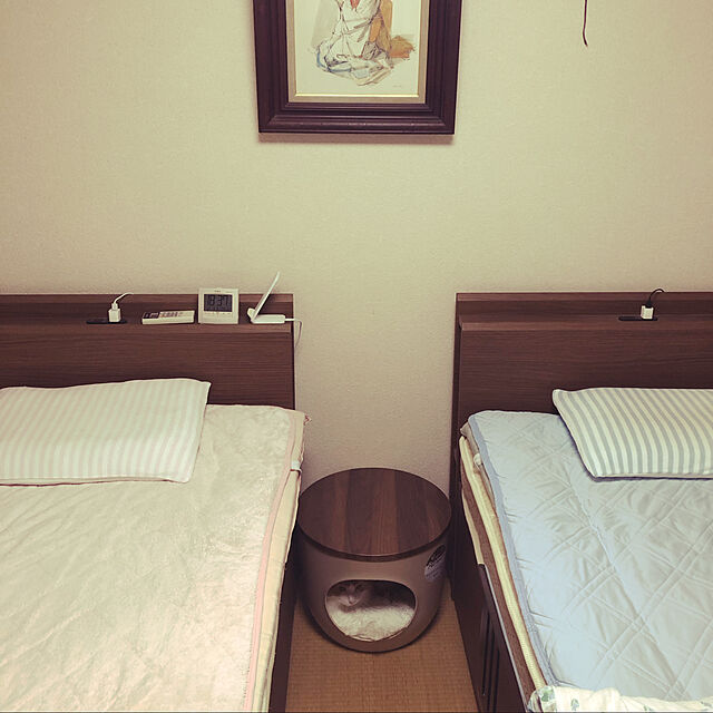 uchidaizuのニトリ-シングルベッドフレーム(ジオ2 MBR チェスト40J) の家具・インテリア写真