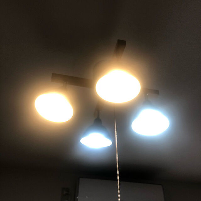REhomeのアイリスオーヤマ-LED電球60W E26 広配光 昼白色 LDA7N-G-6T5の家具・インテリア写真