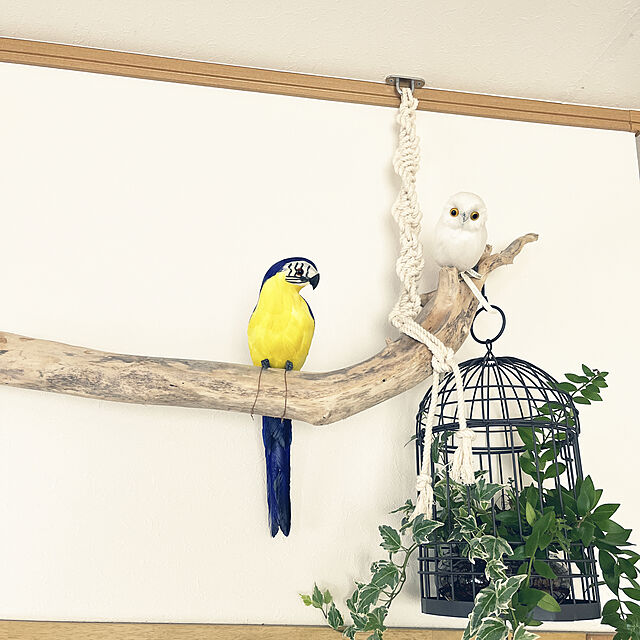 alohaのマクサー電機-リアルでかわいい 鳥のオブジェ インテリアのアクセントとして ナチュラルテイストのお部屋に (インコ（ブルー）)の家具・インテリア写真