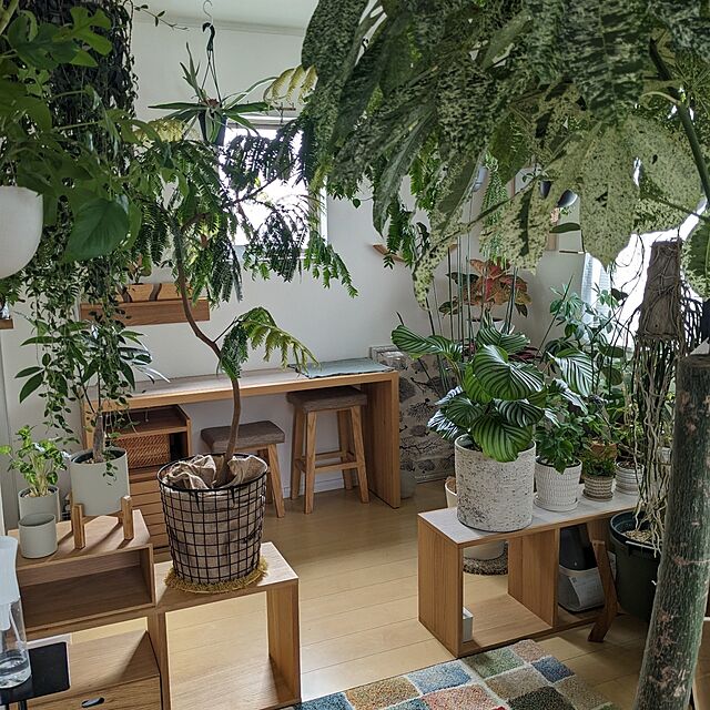 ayamameのイケヒコ・コーポレーション-ウィルトン織り　玄関マット　パレット　【イケヒコ】の家具・インテリア写真