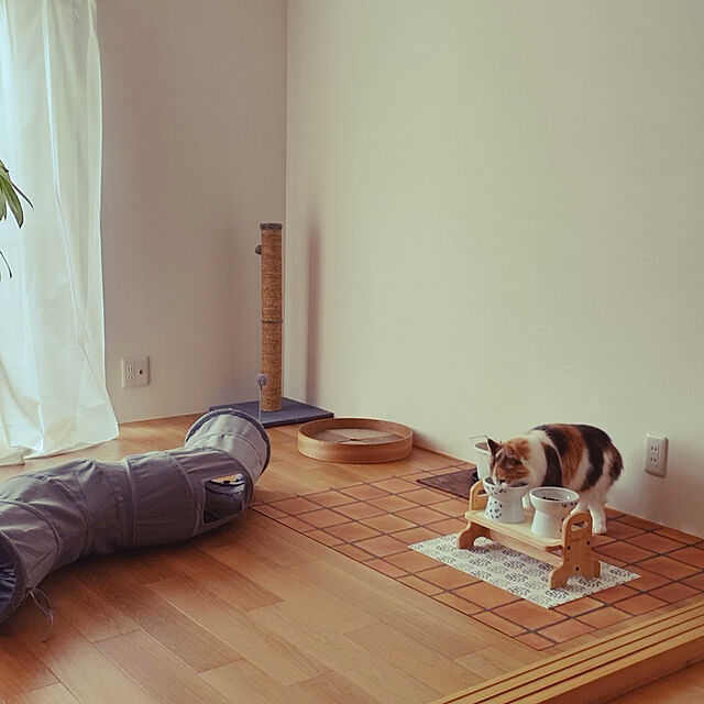 +CHIHARU+の-猫壱　ハッピーダイニング　脚付フードボウル　L　シリコン付き　ネイビー　オリジナル　関東当日便の家具・インテリア写真