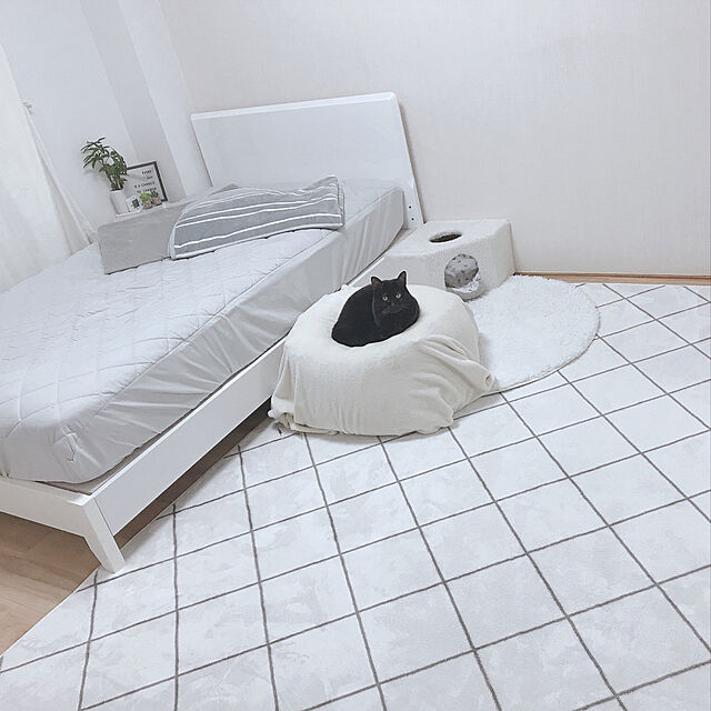 yCaの-ビーズクッション Mサイズ 洗える カバー付き 50×50×35cm ビーズ クッション ソファ 椅子 小さめ 補充 可能の家具・インテリア写真