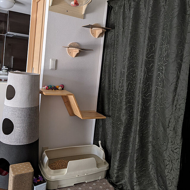 momoの-MYZOO マイズー ZONE ゾーン キャットステップ おしゃれ キャットウォーク 壁 インテリア 猫用品 無垢材 ナチュラル キャットシェルフ 壁用 猫用品の家具・インテリア写真