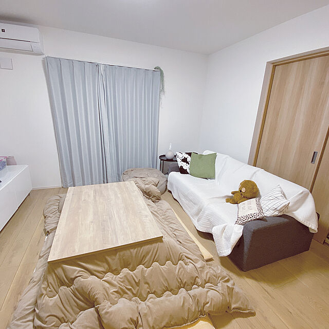 smileのニトリ-ビーズソファカバー 大サイズ専用カバー(NWSL2204BE) の家具・インテリア写真