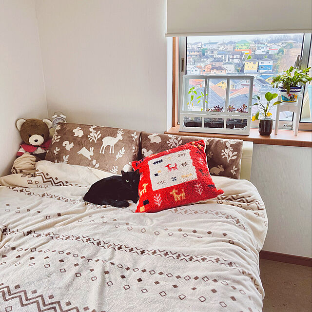 miao-kinのニトリ-毛布にもなる掛け布団カバー ダブル(Nウォーム ベア22A12D) の家具・インテリア写真