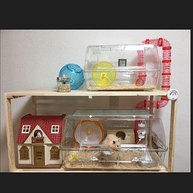 maikaのニトリ-〔幅90×奥行40×高さ138cm〕ウッドシェルフ4段(モック9040-4 D40) の家具・インテリア写真