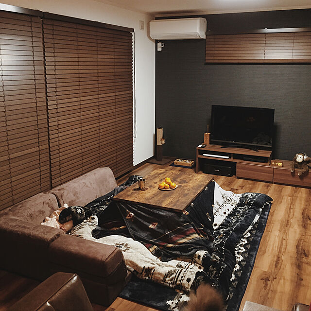 meguのニトリ-こたつ敷ふとん 長方形(ランドH チョウ) の家具・インテリア写真