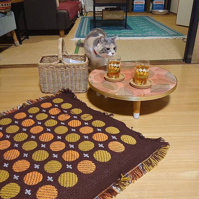 fukuの勝希-(Pets Family)ペッツファミリー 猫鍋 ねこ鍋 アルミ ひんやり 冷感 夏用 暑さ対策 猫ベッド クール ベッド たらい 猫顔型 小型犬 Mサイズの家具・インテリア写真
