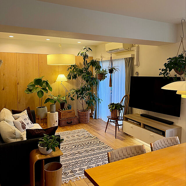 pooのイケア-LIVSÅR リーヴソール LEDライトチェーン 全12球の家具・インテリア写真