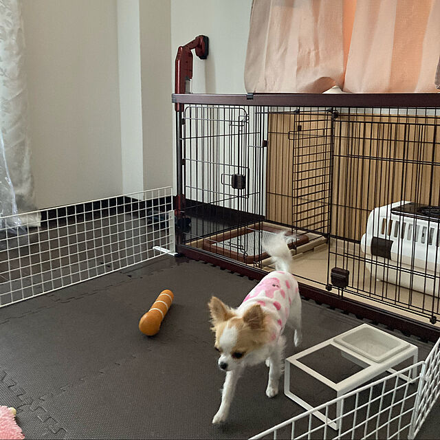 toratanのリッチェル-リッチェル キャンピングキャリーダブルドア Sサイズ 超小型犬・猫用 アイボリーの家具・インテリア写真