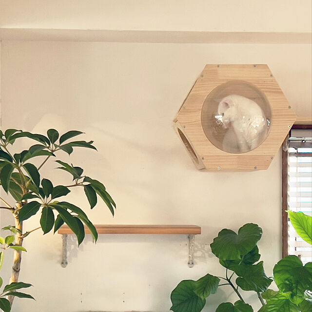 catsmamの-キャットステップ 壁付け 猫用 ハウス ハンモック キャットウォーク 壁 手作り 猫 幅28cm 棚板 棚 キャットタワー 木製 木 diy ベッドの家具・インテリア写真