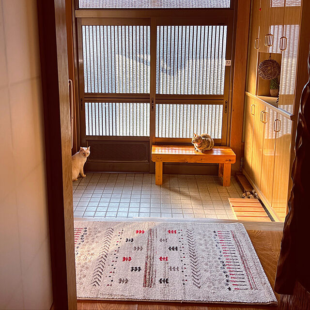 mohhaのイケヒコ・コーポレーション-トルコ製 ウィルトン織 玄関マット 『マリア』 ベージュ 約70×120cm 2037679の家具・インテリア写真