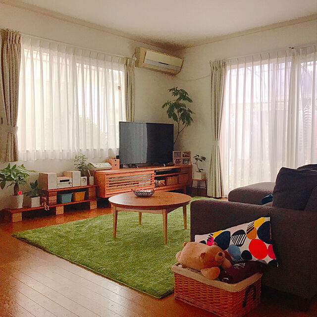 yukoのニトリ-アクセントラグ(SシャギーGR 200X290) の家具・インテリア写真